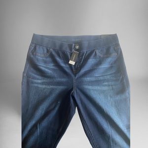 Lane Bryant Jegging